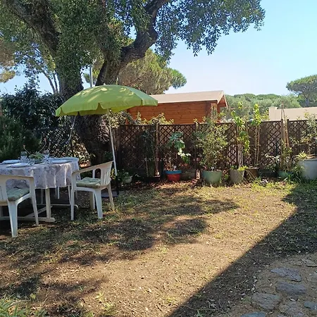 Cocoon Nature Apartment Sainte-Maxime